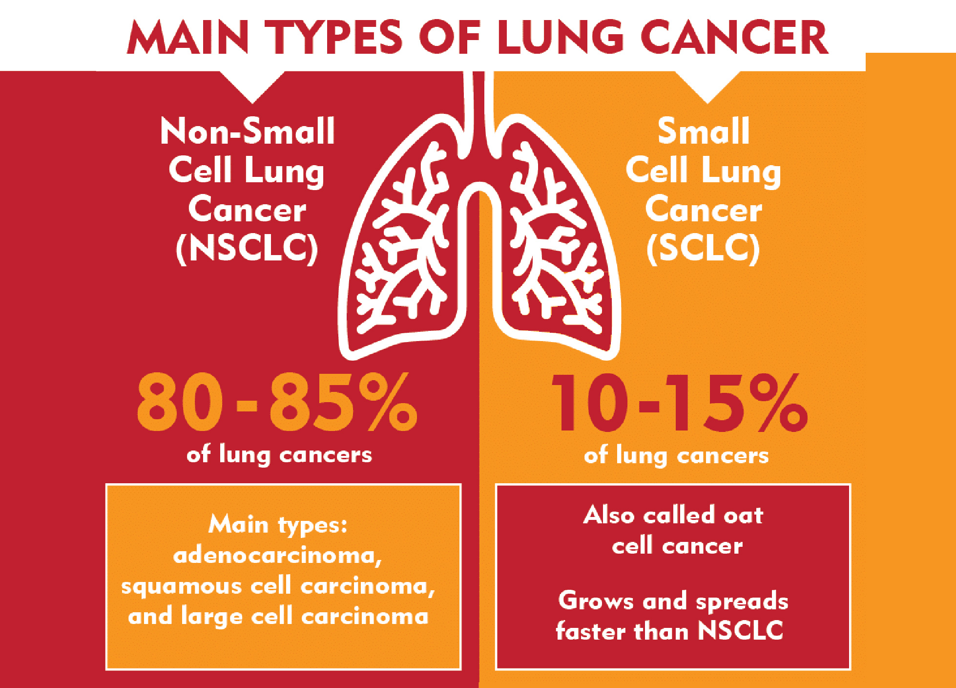 Lung Cancer Doctor In Delhi 